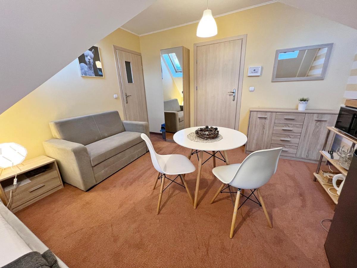 Apartamenty Mountain View - Bezplatny Parking Крыница-Здруй Экстерьер фото