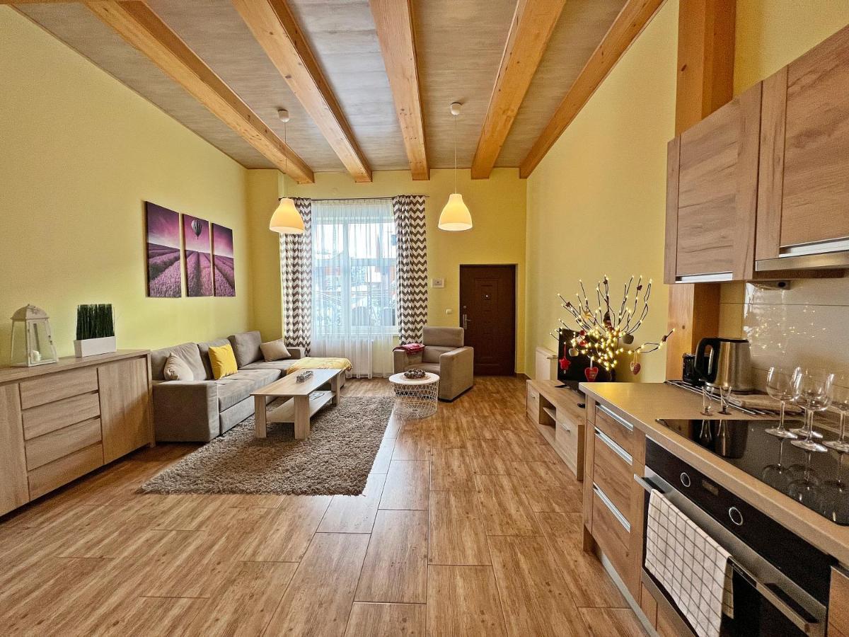 Apartamenty Mountain View - Bezplatny Parking Крыница-Здруй Экстерьер фото